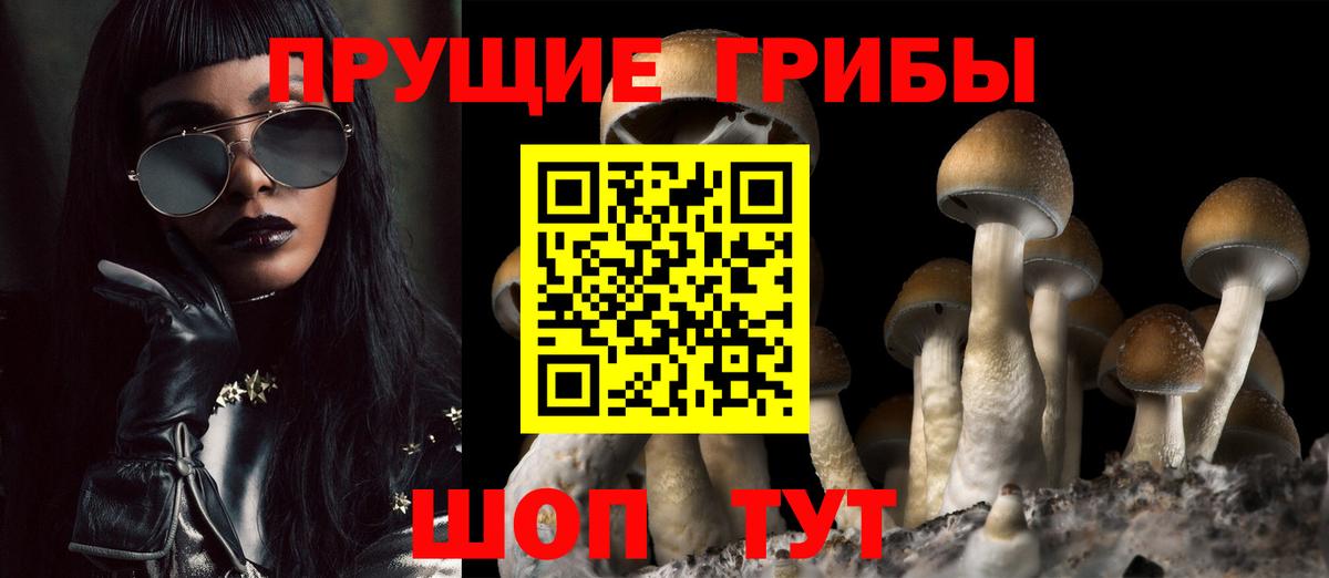 Галлюциногенные грибы MAGIC MUSHROOMS Богородск